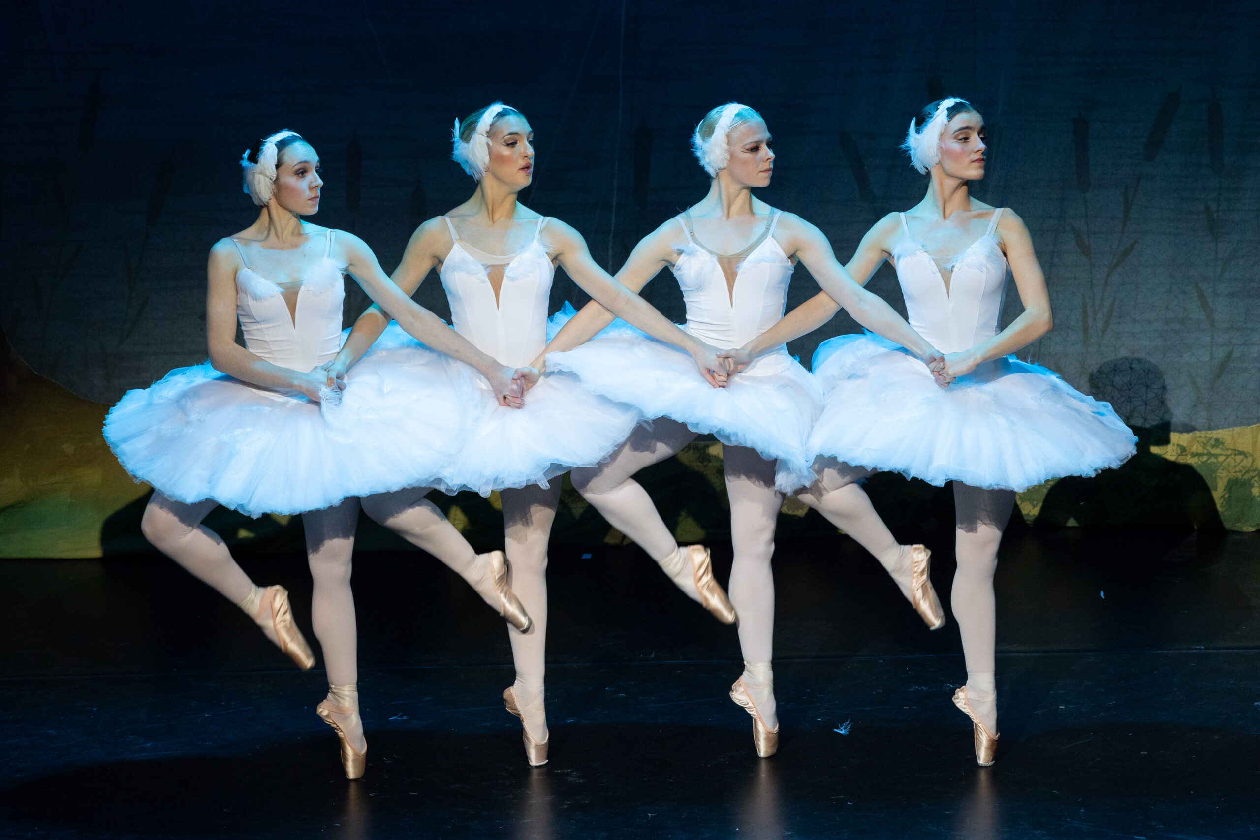 The Dance of the Cygnets fell flat on opening night of Swan Lake in Manchester