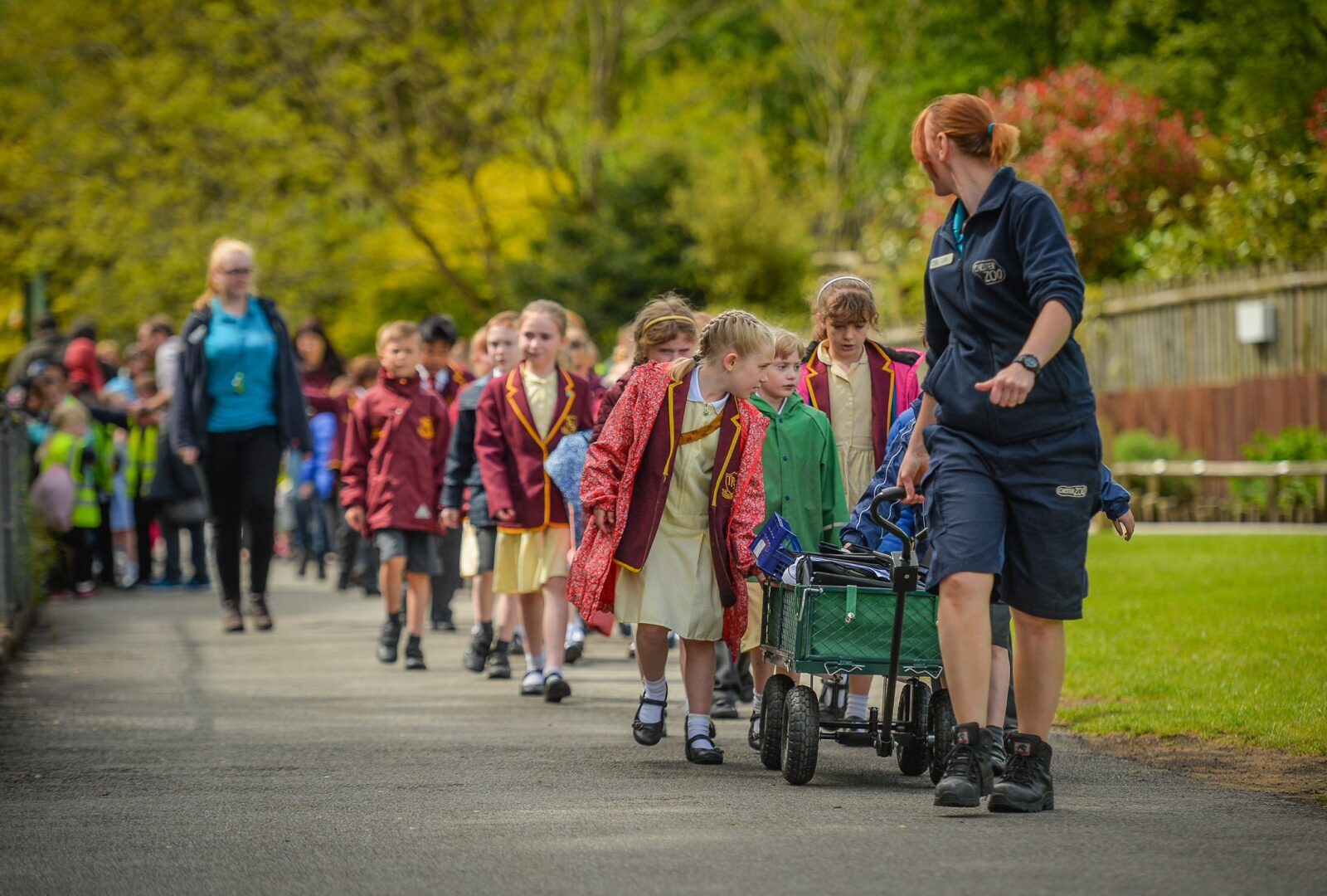 Schoolchildren at Chester Zoo