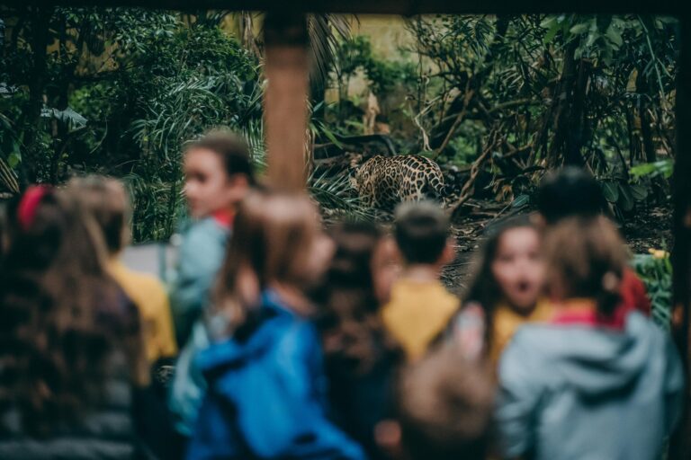 Kids at Chester Zoo