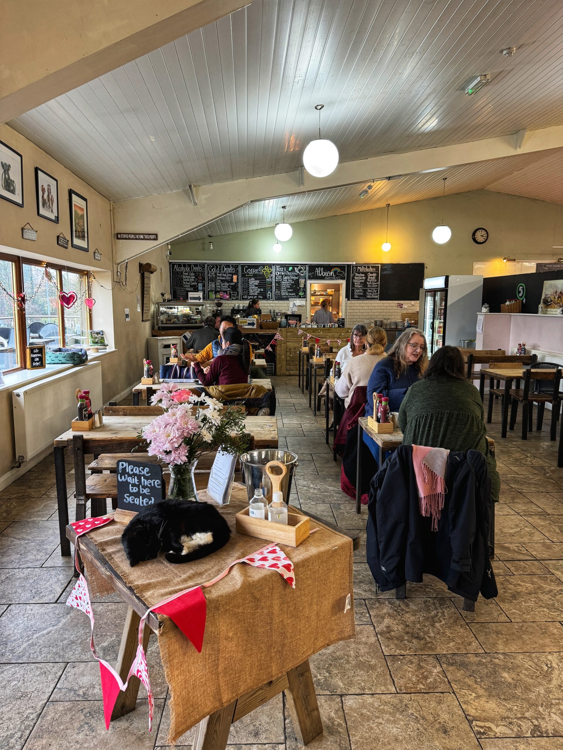 The Albion Farm Shop cafe