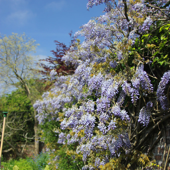 parsonage gardens didsbury