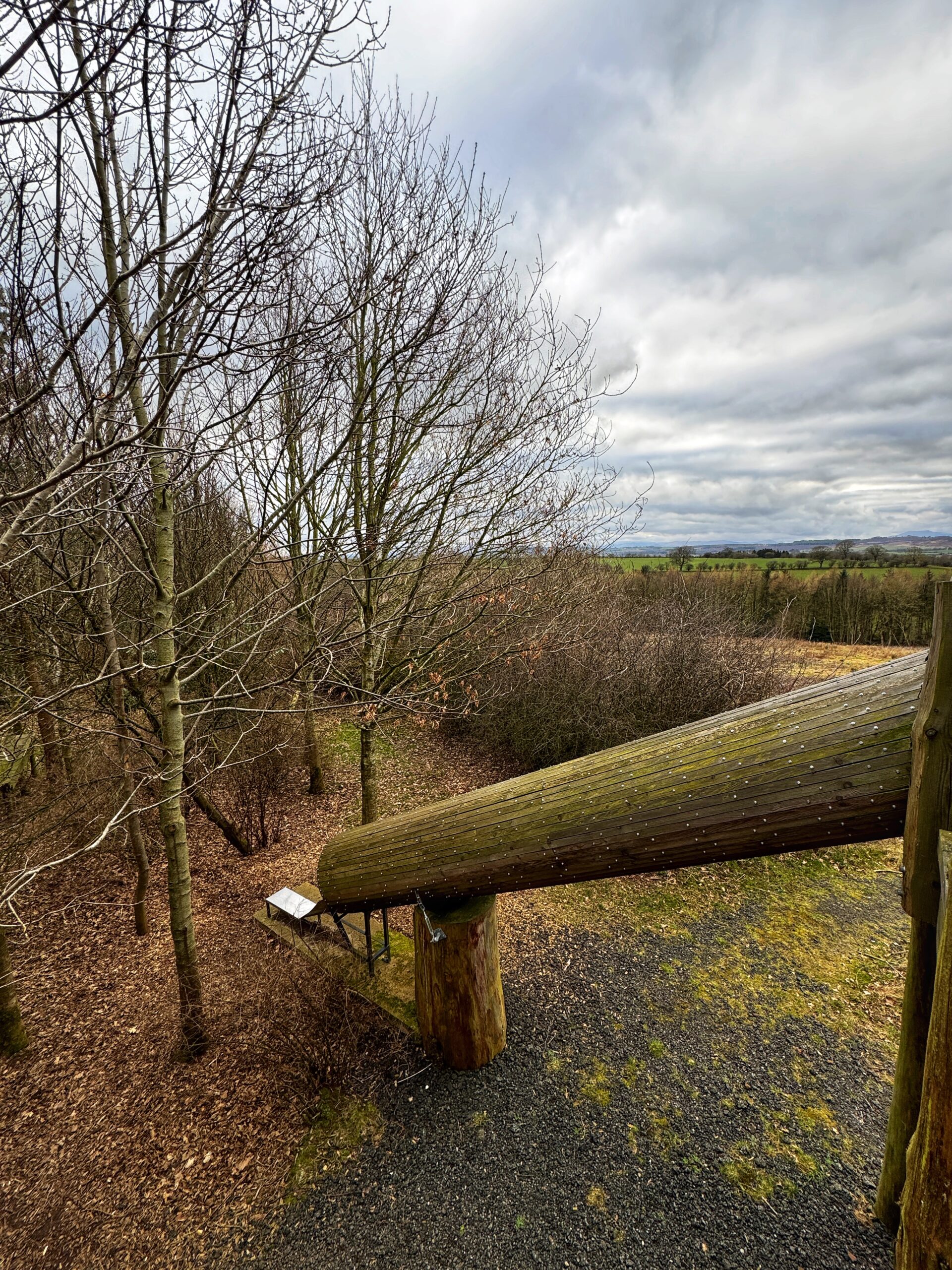 Silva Treehouse has a slide