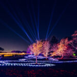 Northern Lights
