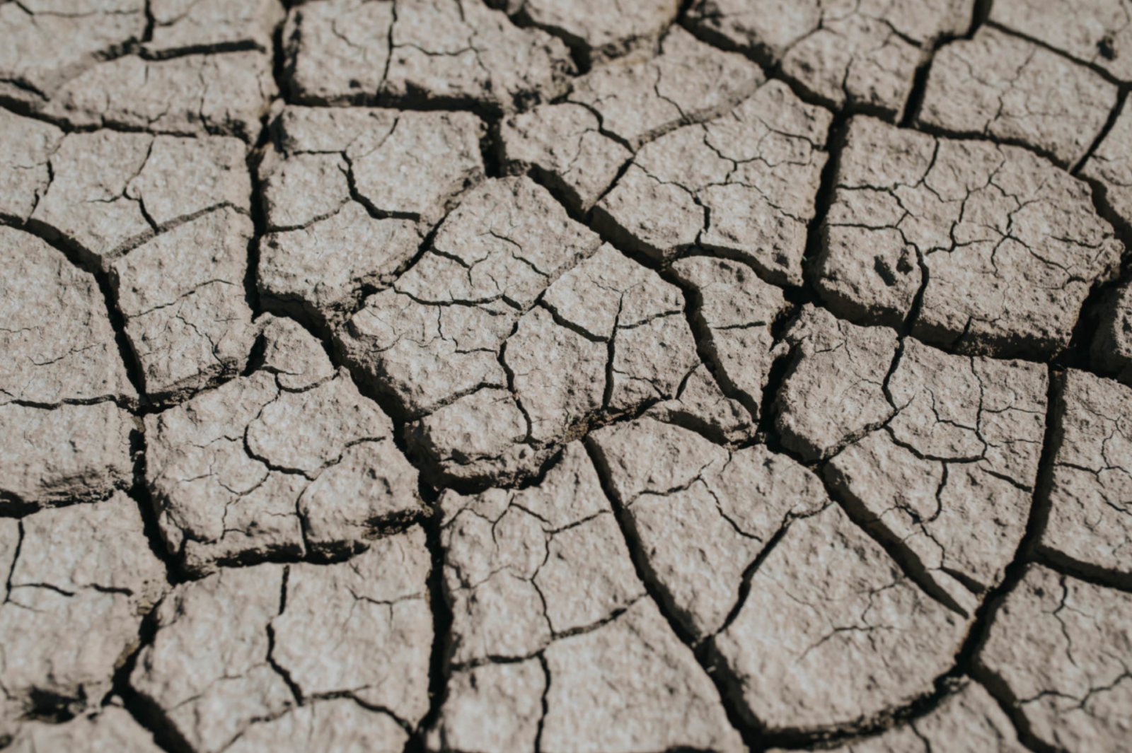 Drought