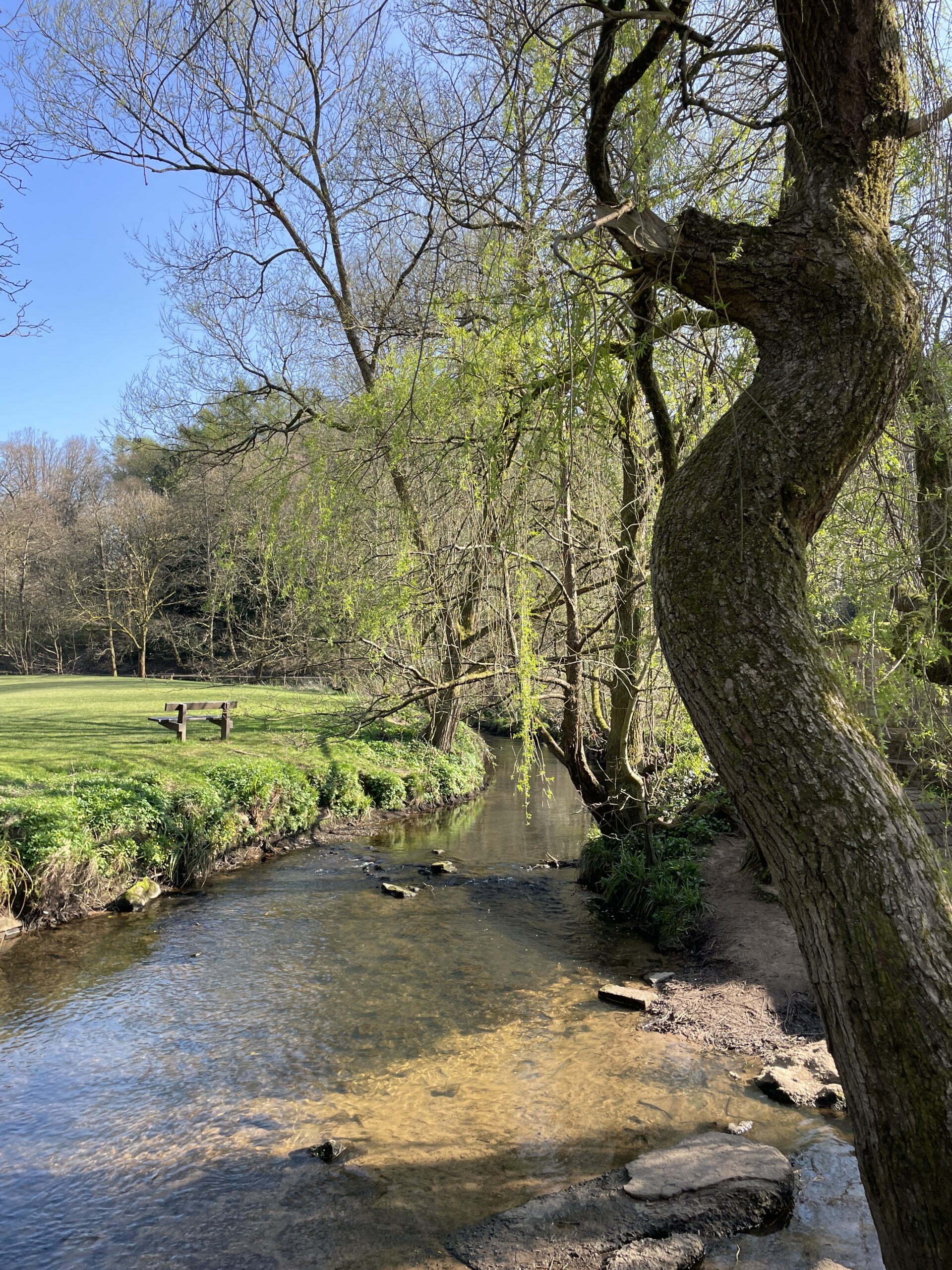Bramhall Park, Stockport