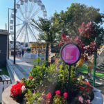 Cheshire Oaks is hosting a FREE exclusive gig this summer to celebrate its 30th anniversary