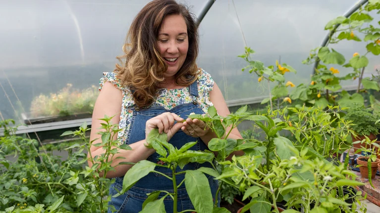 Sky Gardening Challenge