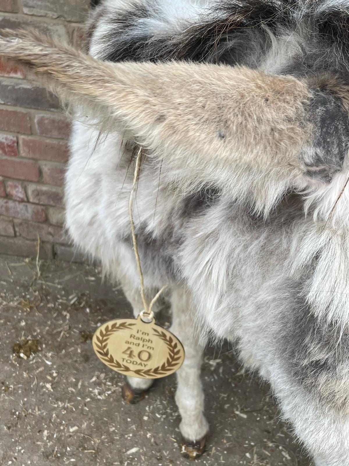 Ralph the Donkey