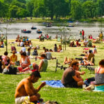Sunbathing in the park