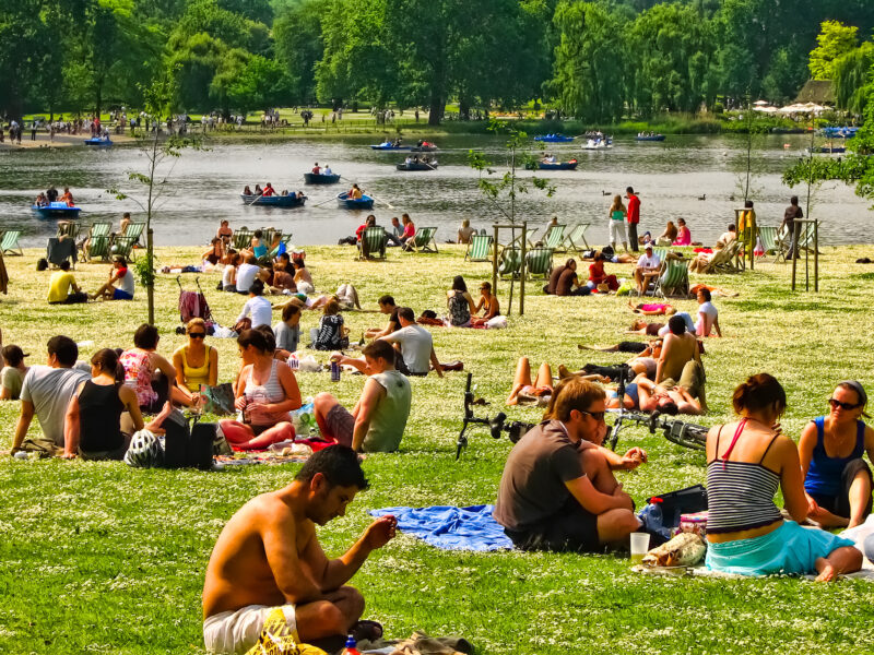 Sunbathing in the park