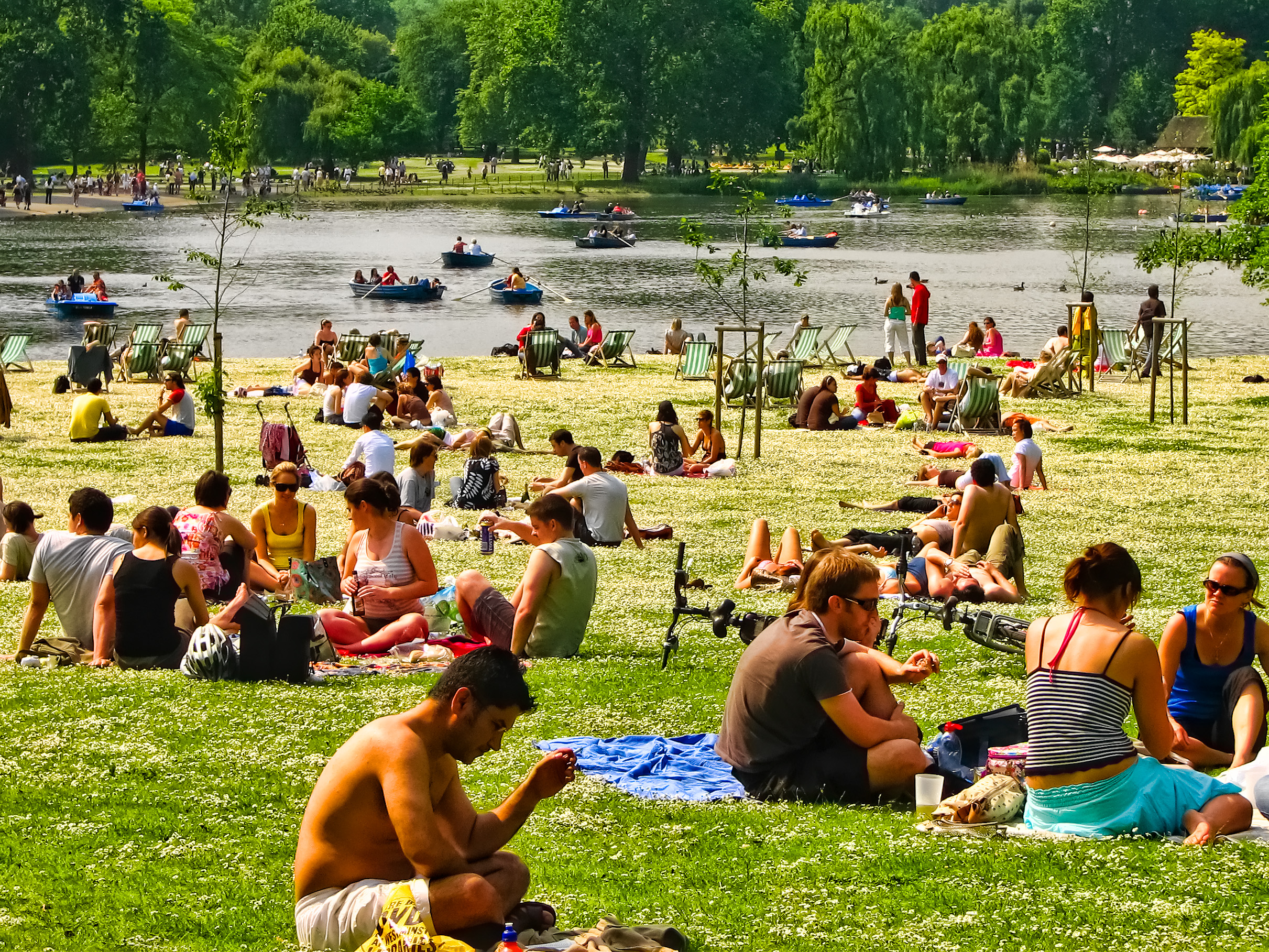 Sunbathing in the park
