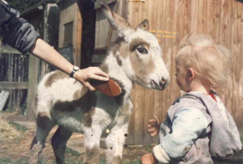 Ralph the Donkey