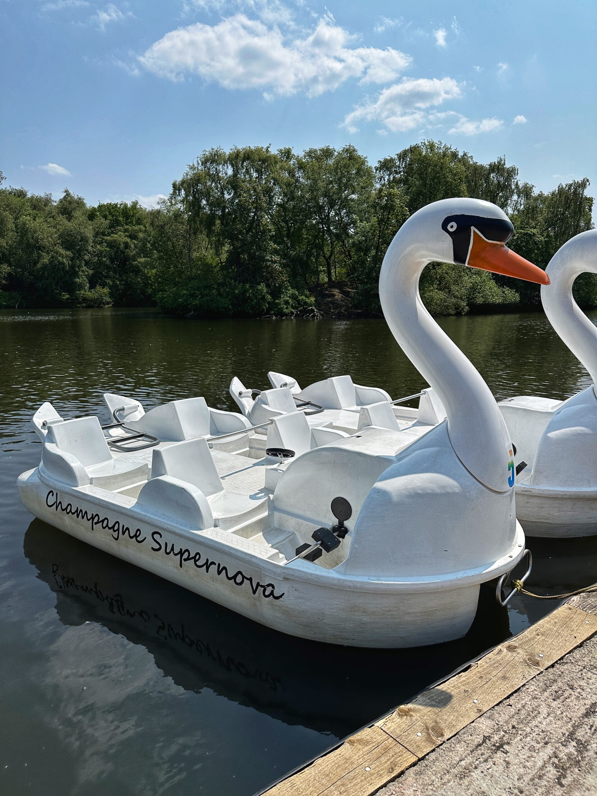 The swan boats have been renamed after Oasis songs