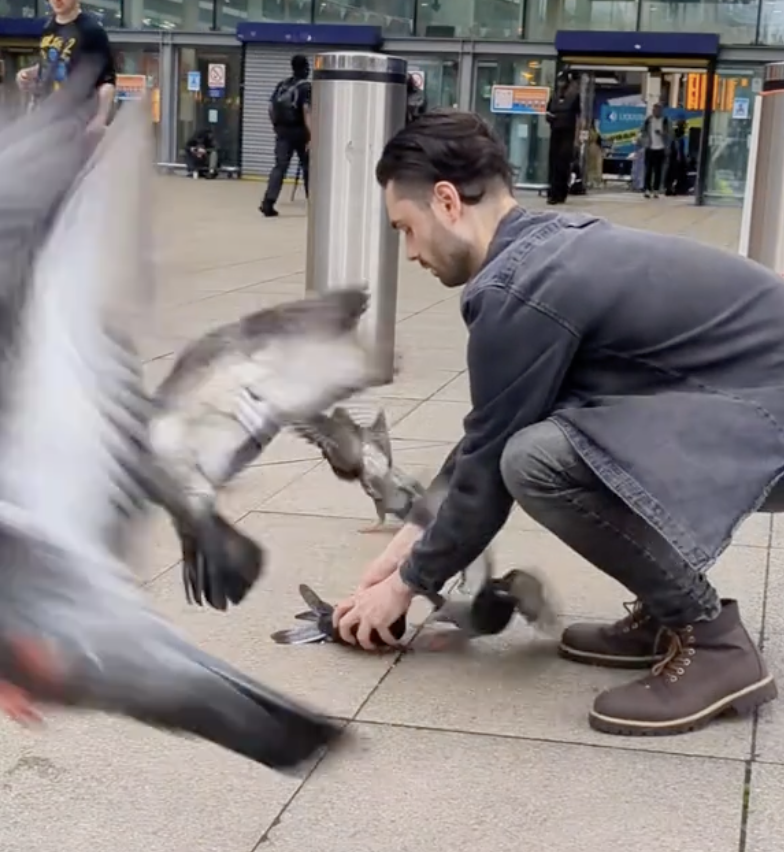 The man saving Manchester's city pigeons from 'stringfoot'