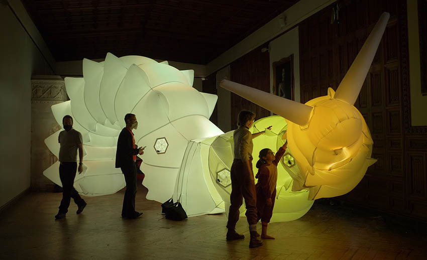 Luma the robotic snail