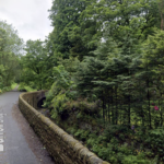 RSPCA appeal launched after 'young pup' found in river weighed down with rocks