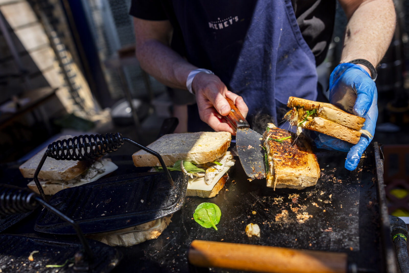 sandwich festival kampus