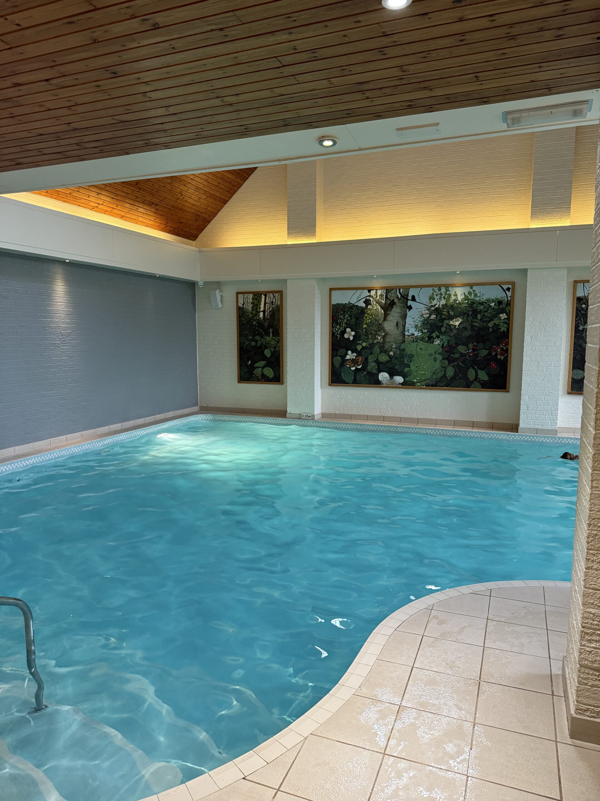 The 10m indoor pool