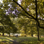 Dunham Massey in Autumn. Credit: James Beck