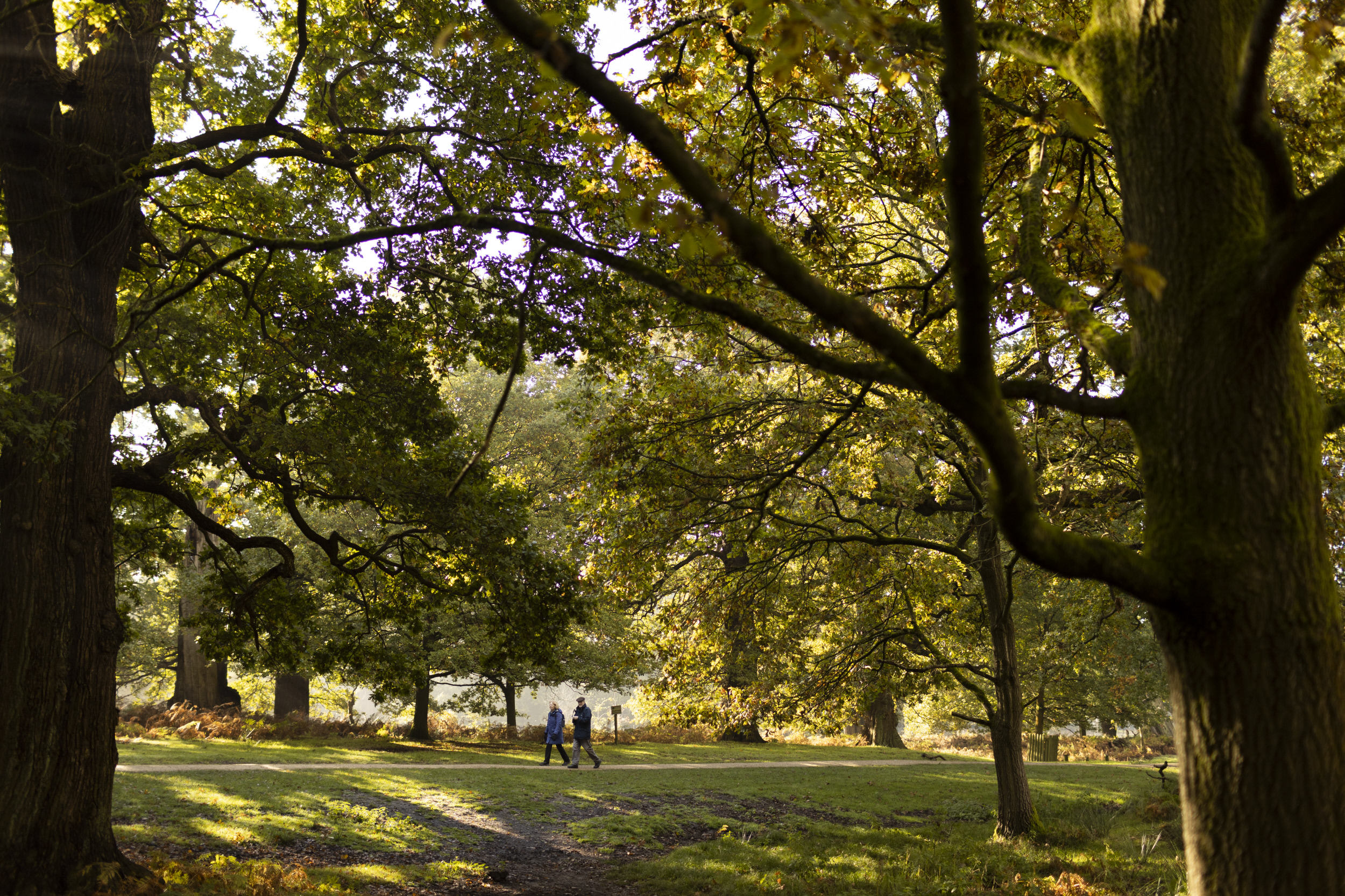 Dunham Massey in Autumn. Credit: James Beck