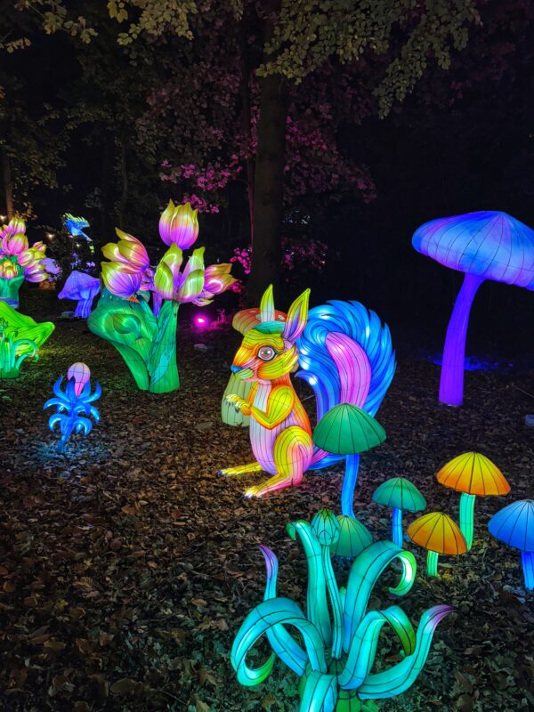 First look inside Gulliver’s World Land of Lights as magical lantern trail returns