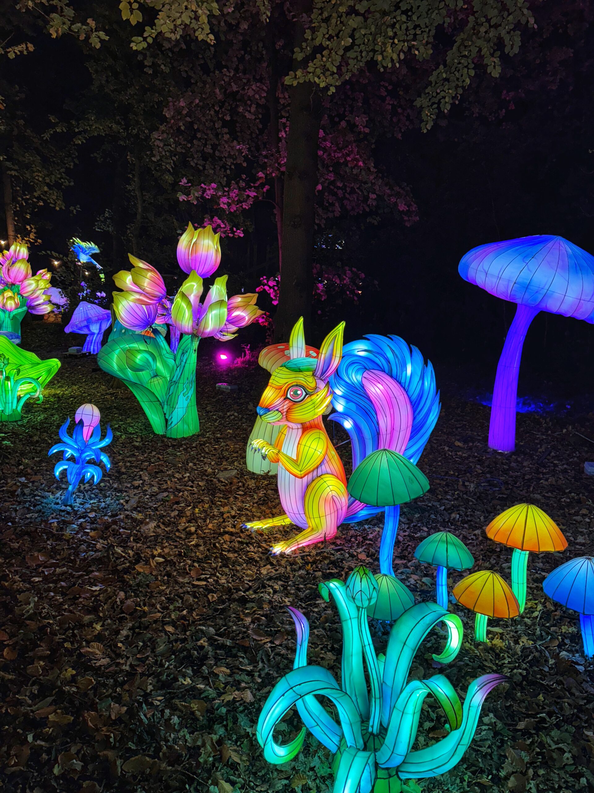 First look inside Gulliver’s World Land of Lights as magical lantern trail returns