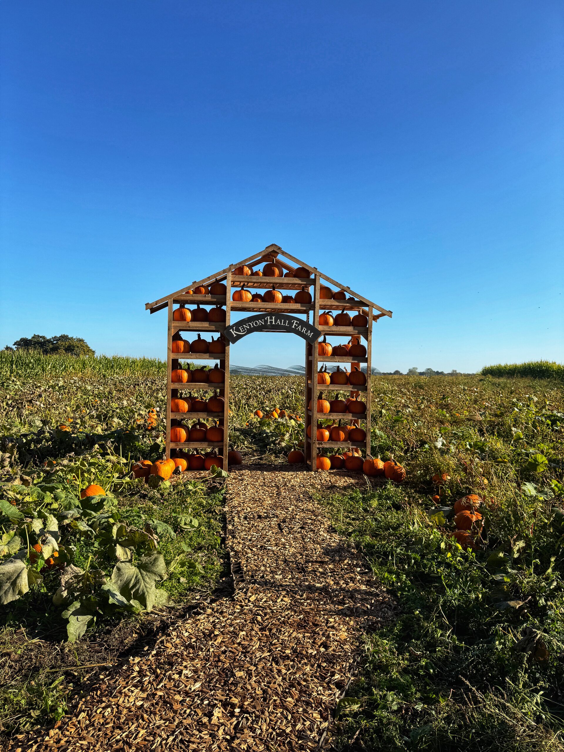 Photo opportunities at Kenyon Hall Farm