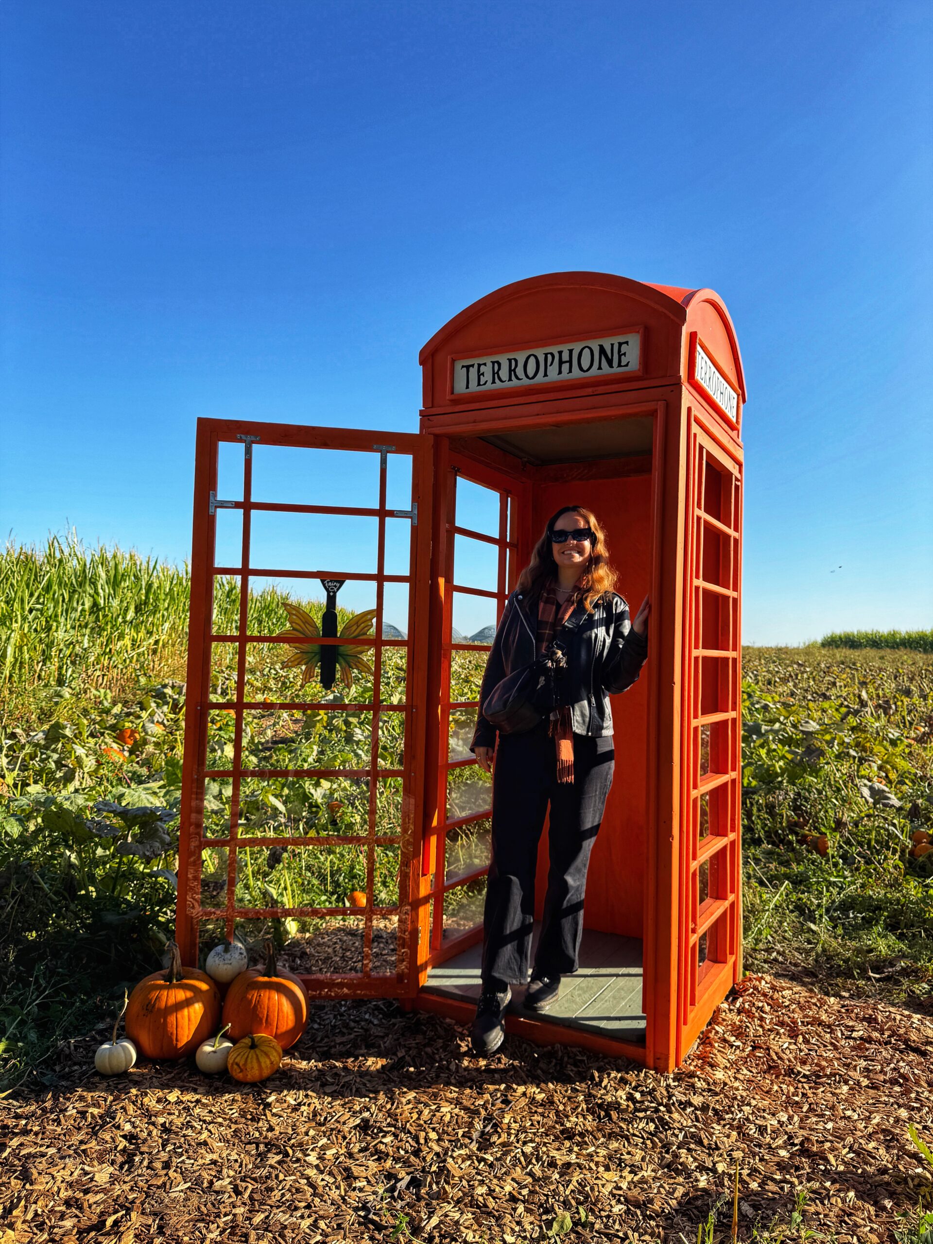Photo opportunities at Kenyon Hall Farm