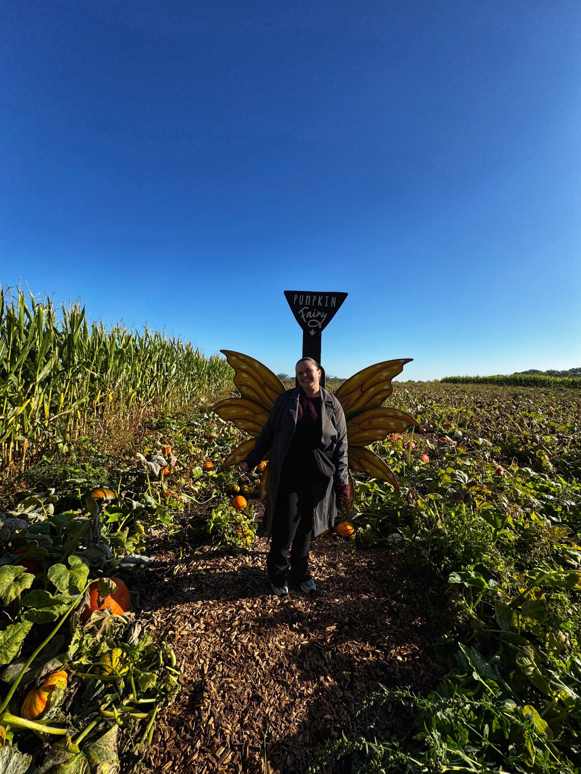 Photo opportunities at Kenyon Hall Farm