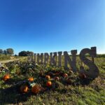 Kenyon Hall Farm pumpkin festival