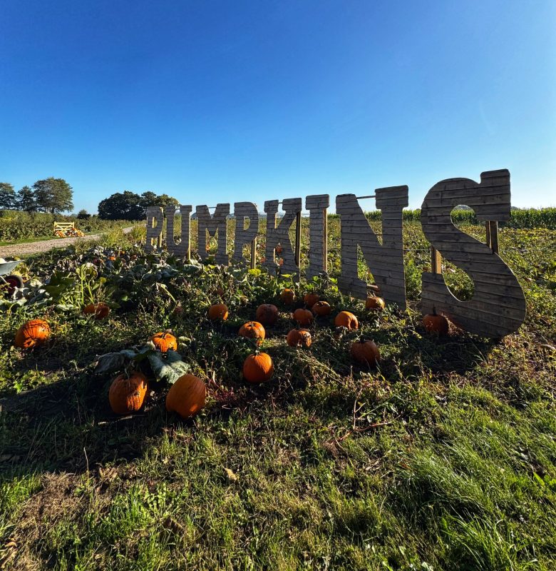 Kenyon Hall Farm pumpkin festival