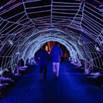 Spooktacular Halloween trail to return to National Trust site Quarry Bank