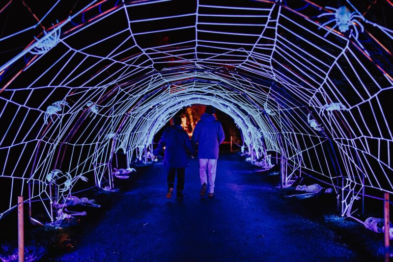 Spooktacular Halloween trail to return to National Trust site Quarry Bank