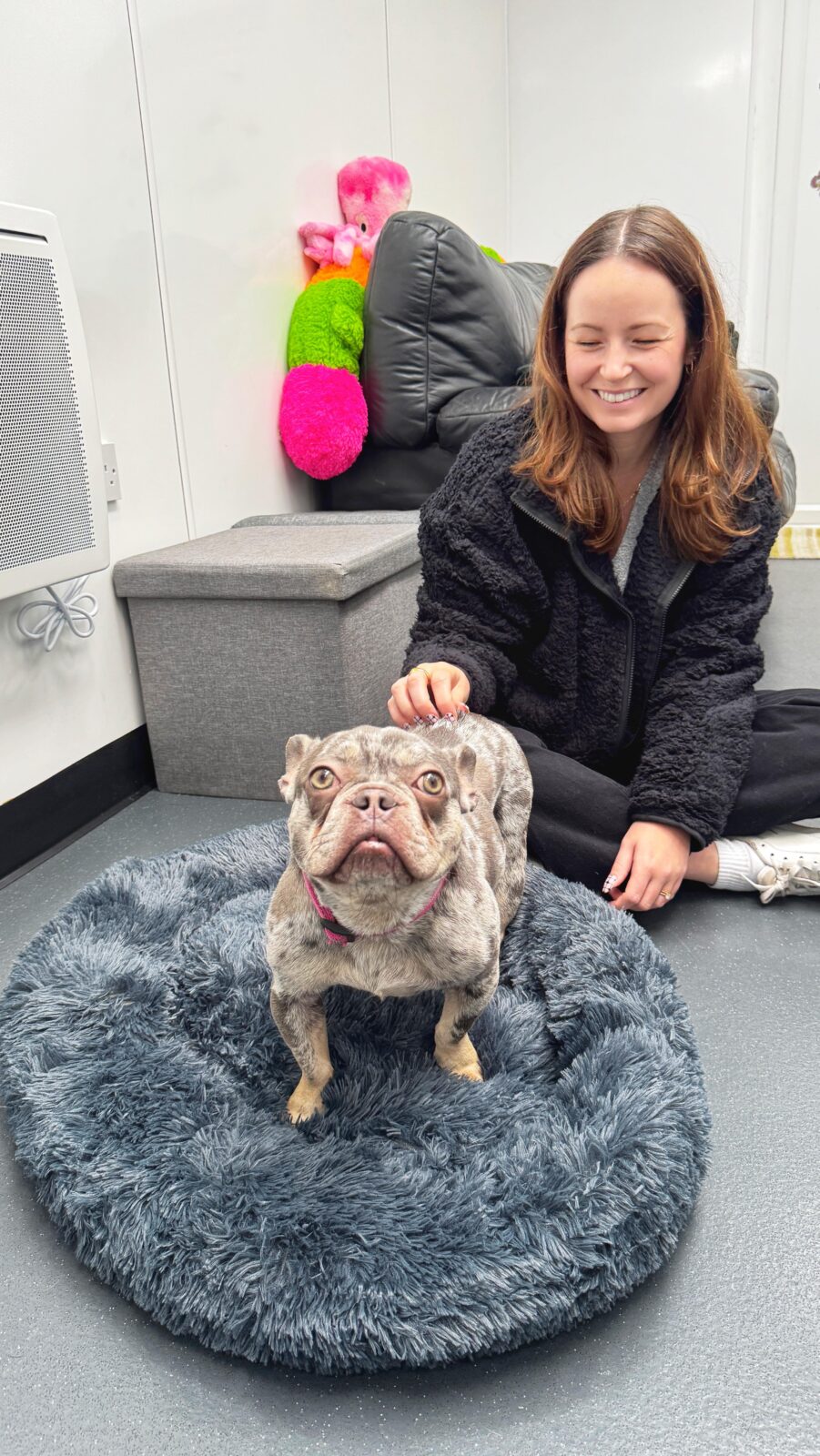 Watch the heart-warming moment rescue cats and dogs are gifted cosy beds ahead of Bonfire Night