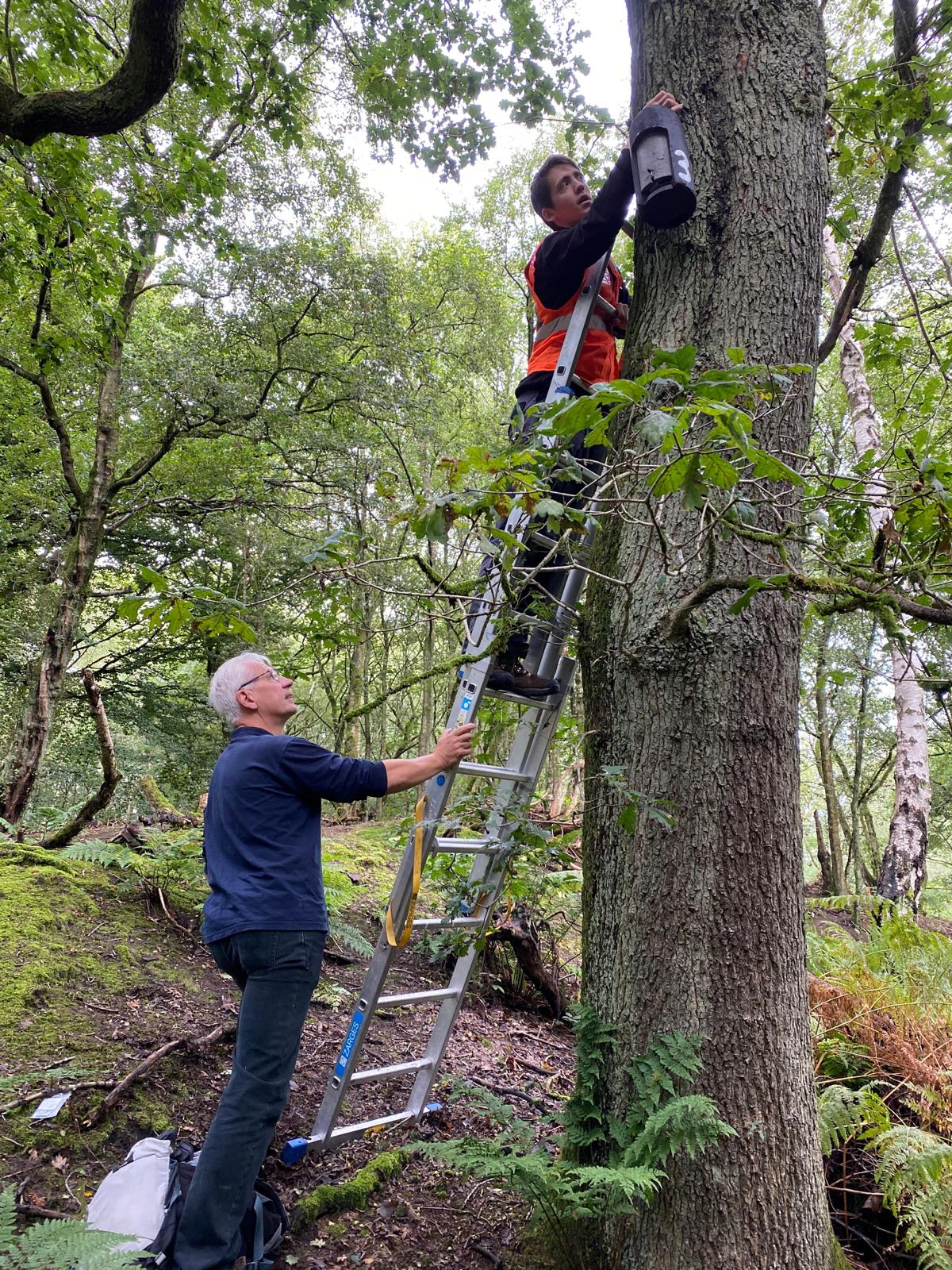 heaton park gardening groups