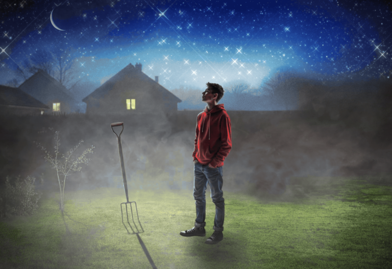 The Curious Incident of the Dog in the Night-Time