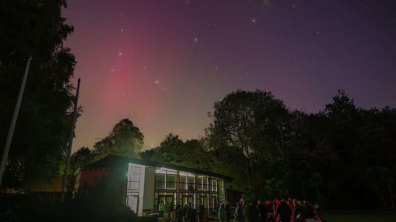 Parklife grassroots community projects charity donations