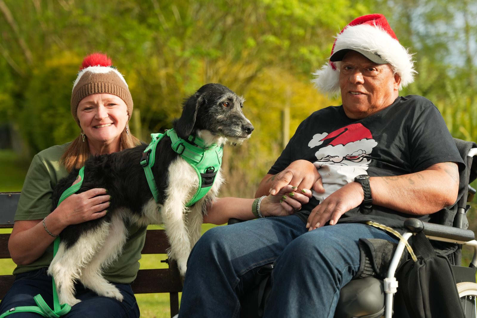 Channel 4's The Dog House is looking for people to adopt dogs in Manchester