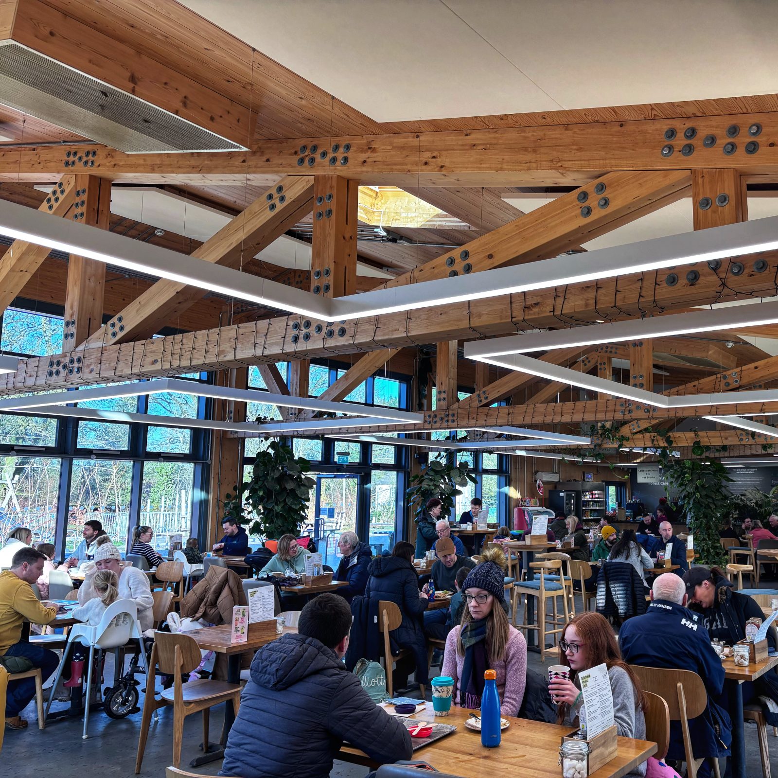 delamere forest cafe