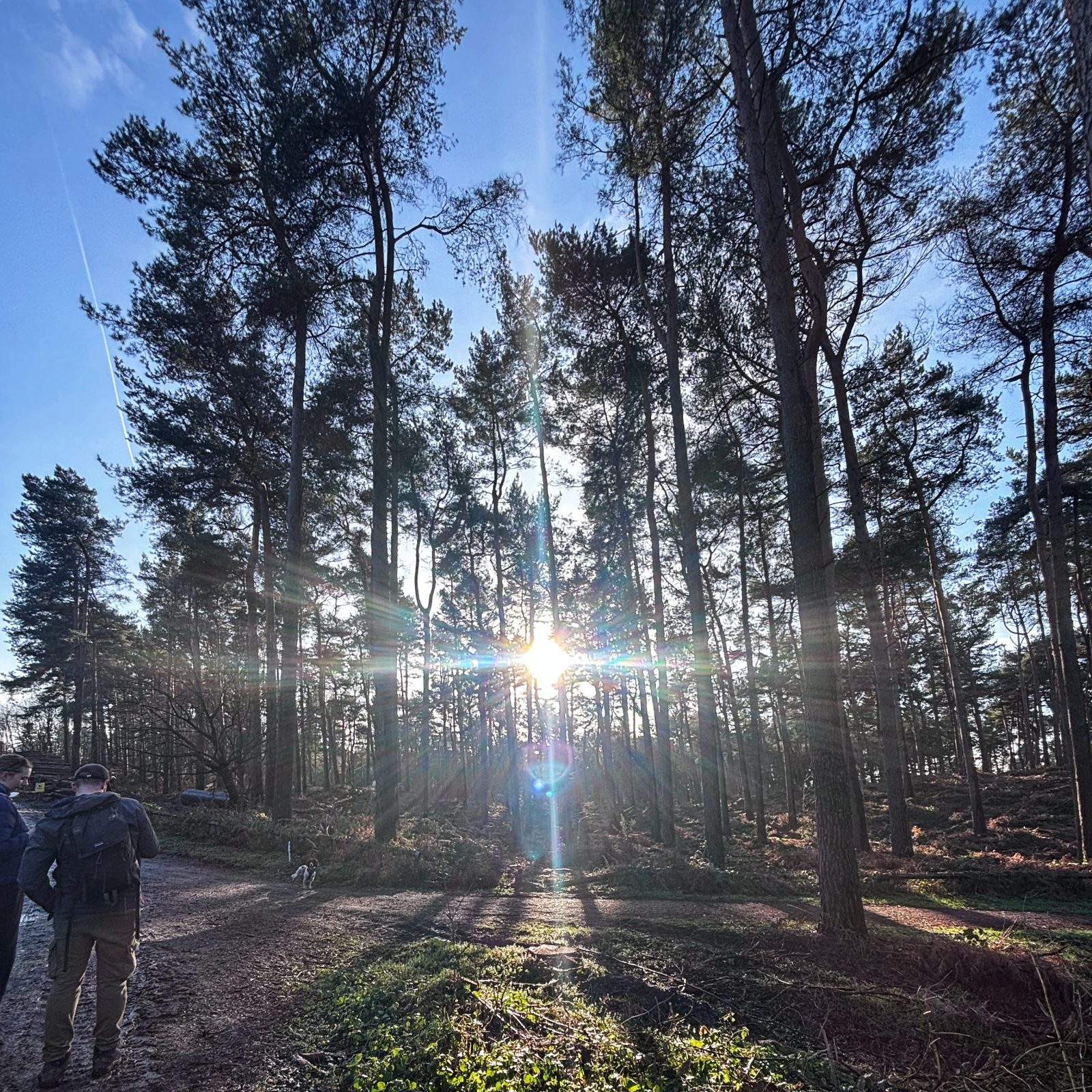 easy walks north west