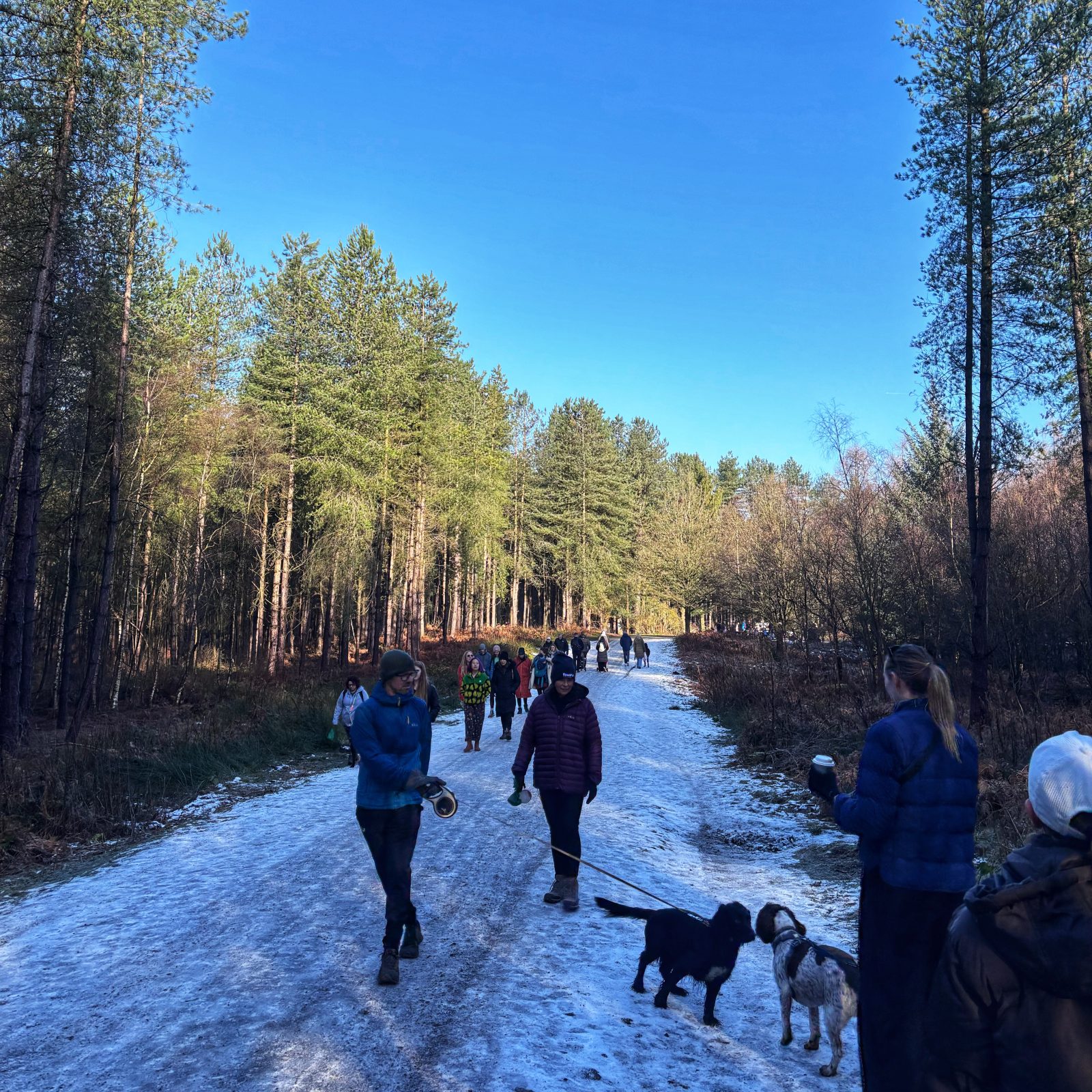 whitemoor trail delamere circular