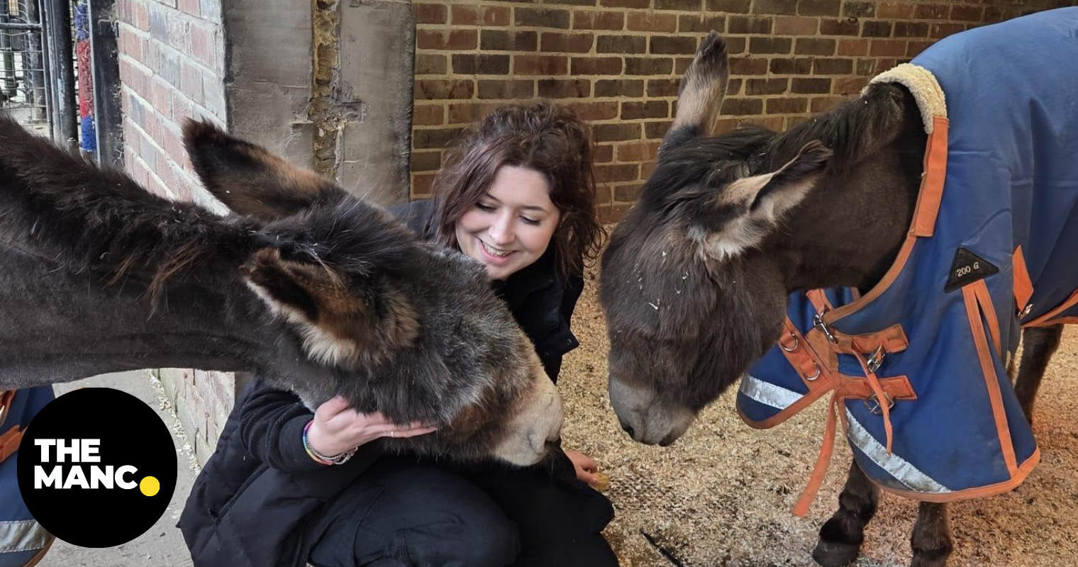 Heaton Park announces death of its two donkeys following 'complex' health and age-related issues