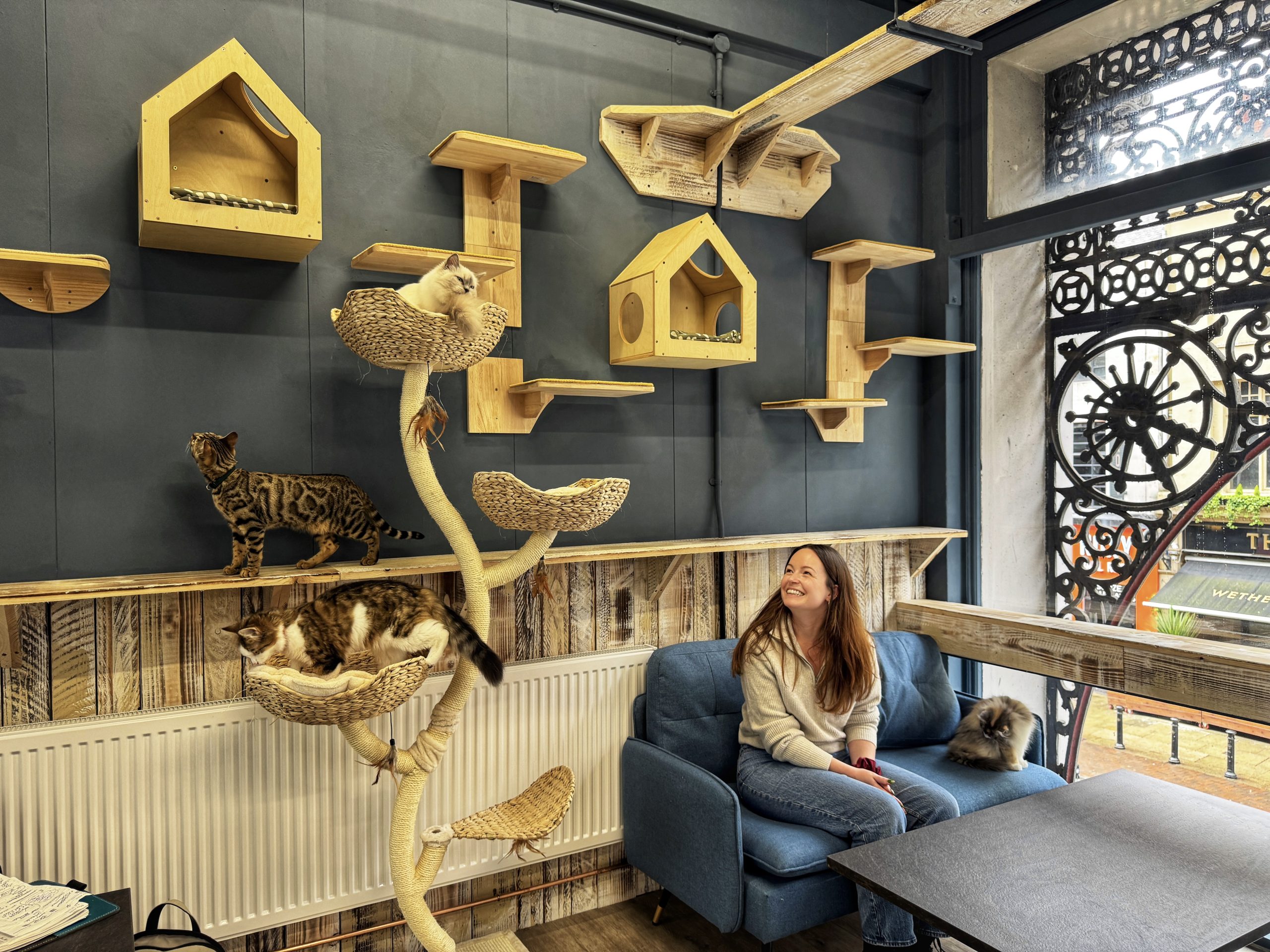 Cat Cafe Manchester
