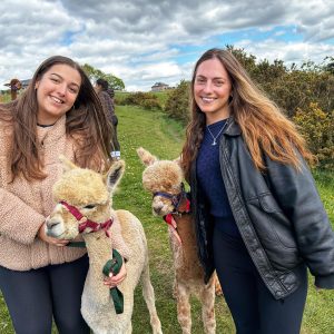 Meadowcroft Farm Alpacas