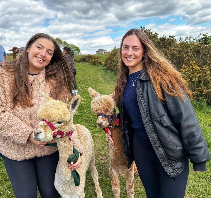 Meadowcroft Farm Alpacas
