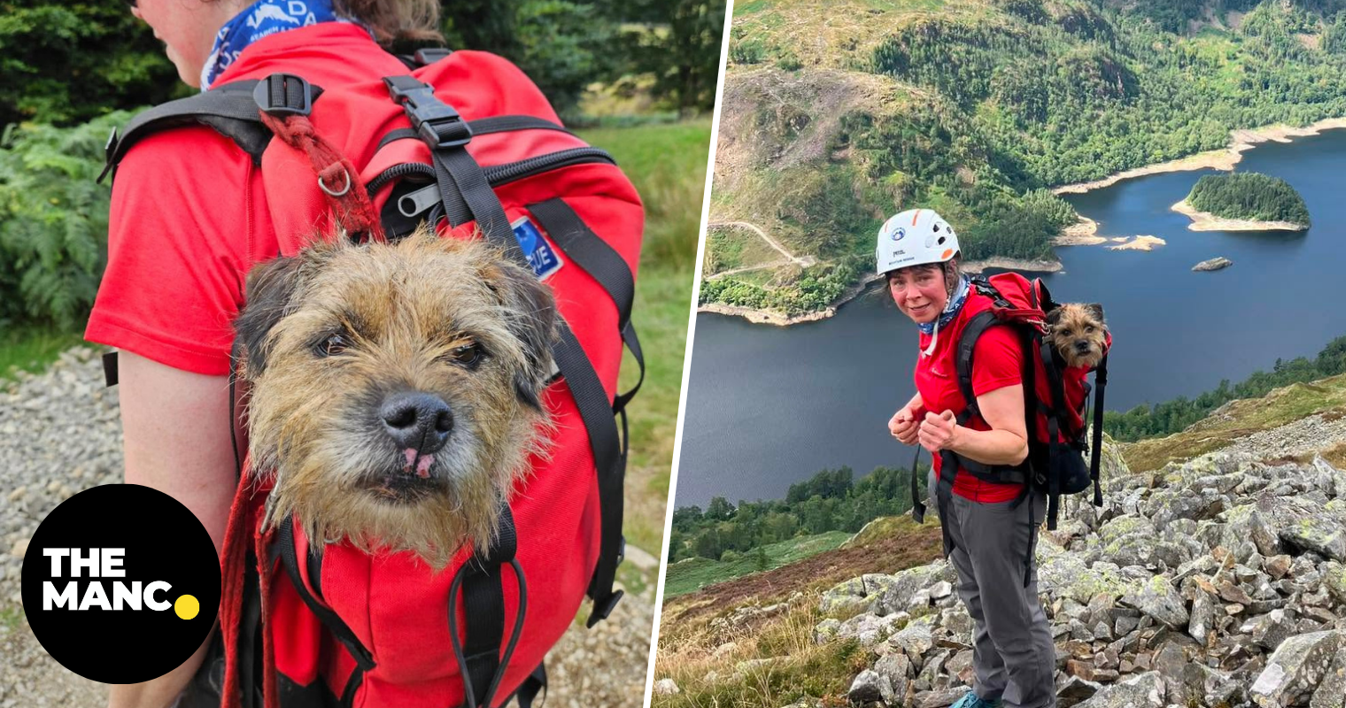 Remarkable Lake District rescue of dog missing for THREE WEEKS
