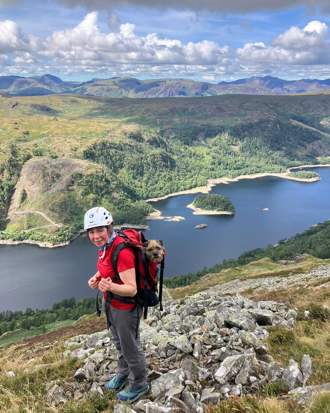 Teddy making his way down from Helvellyn