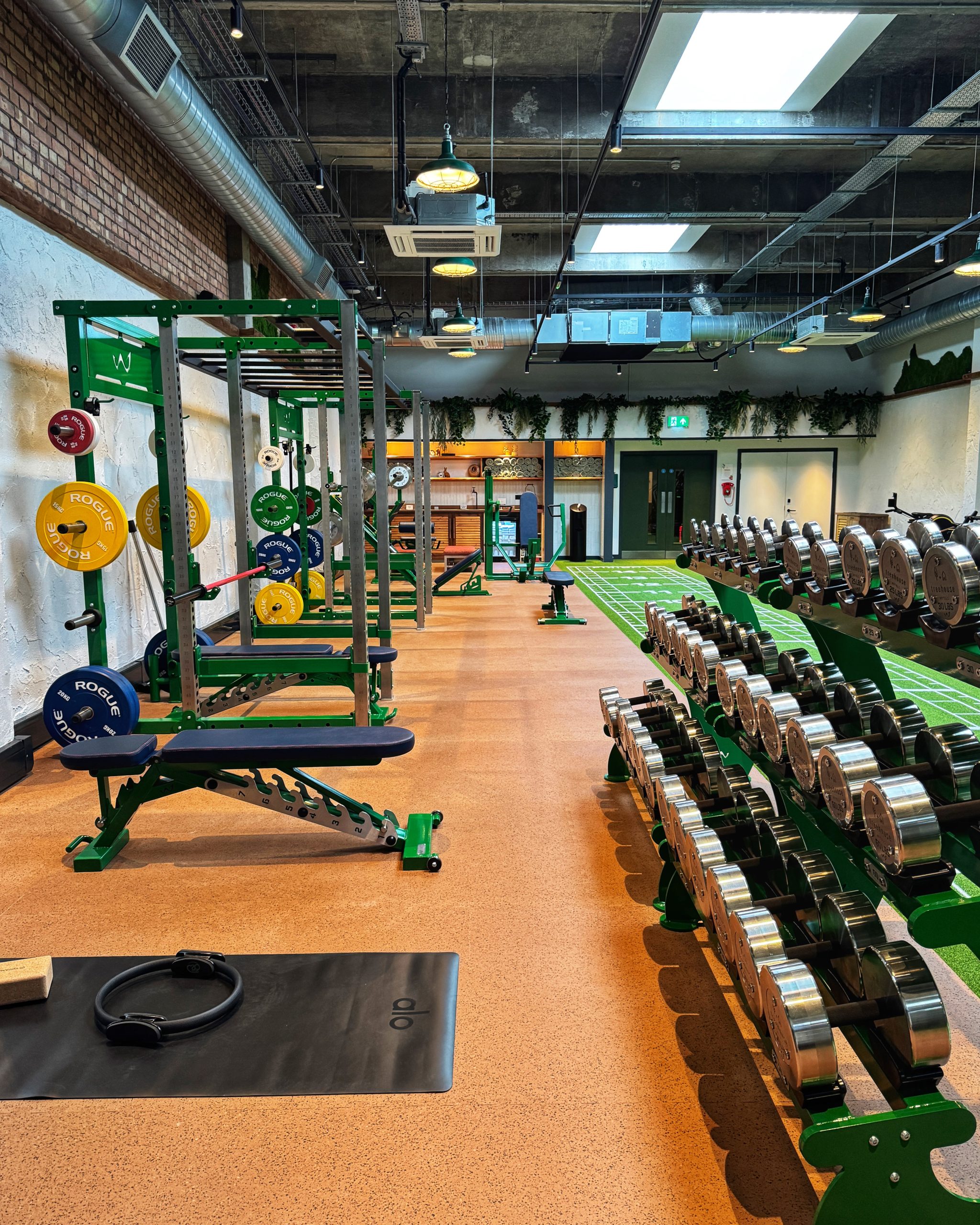 The Playground gym in Treehouse Hotel