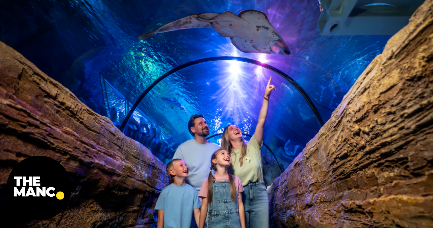 A major Manchester attraction is now offering 50% off kids tickets all autumn