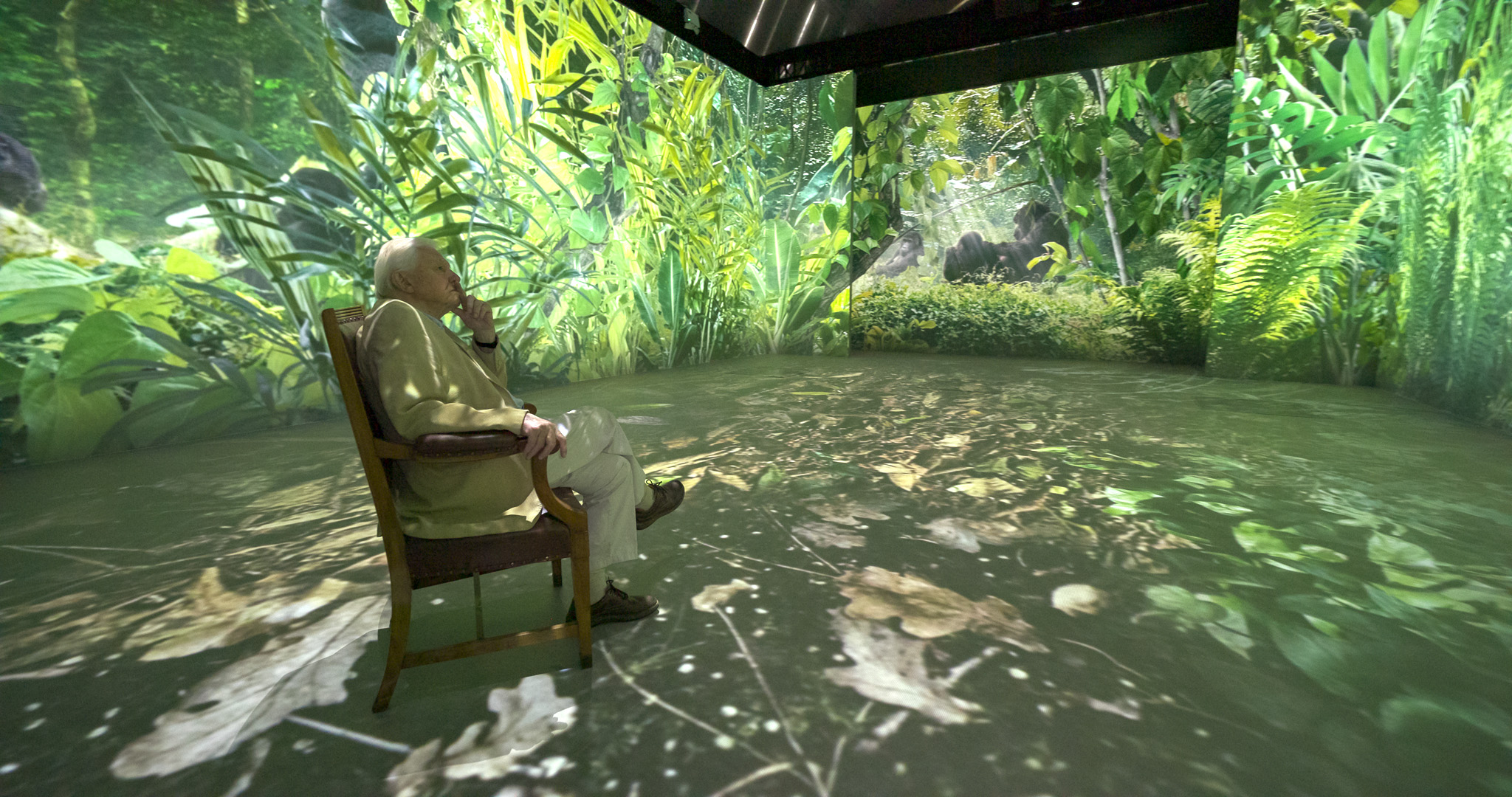 Major immersive experience narrated by Sir David Attenborough to open at Chester Zoo
